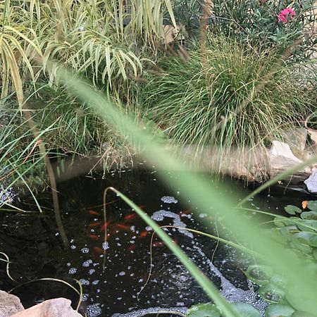 Dalia Apartman Gyoemro エクステリア 写真