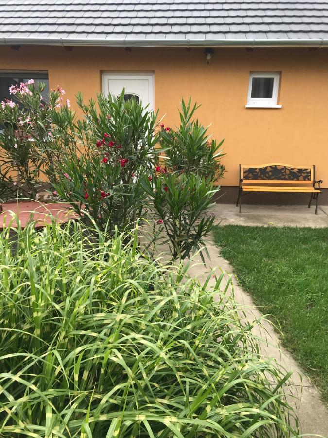 Dalia Apartman Gyoemro エクステリア 写真